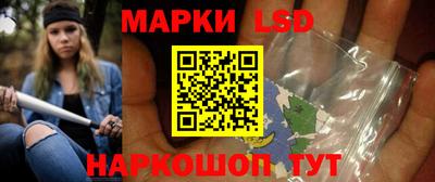 крисы Новозыбков