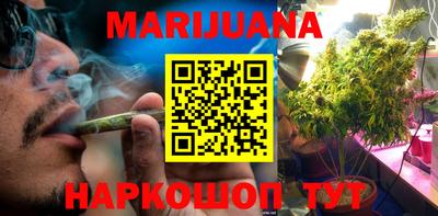 крисы Новозыбков