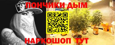 крисы Новозыбков