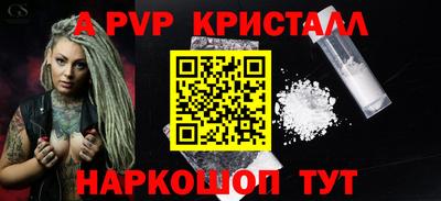 крисы Новозыбков