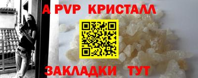 крисы Новозыбков