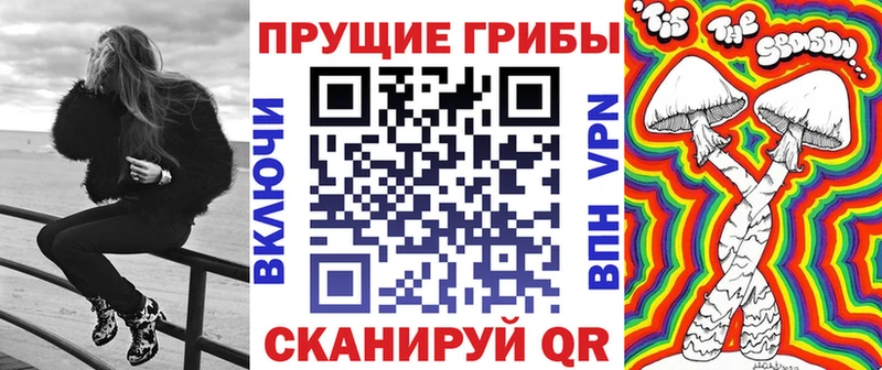 как найти закладки  Россошь  Галлюциногенные грибы мицелий 