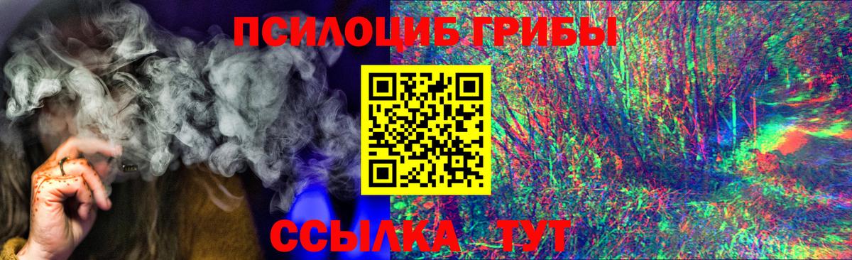 Псилоцибиновые грибы Psilocybine cubensis  где купить наркоту  Россошь  Вход с VPN  Псилоцибиновые грибы Magic Shrooms 